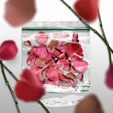 Wet - Drippin' Cover